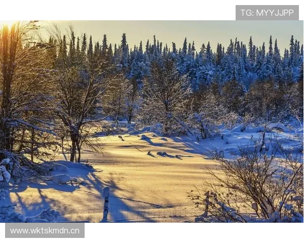 芬兰队服白蓝 芬兰队服白蓝