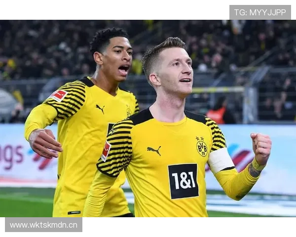 哈兰德欧冠淘汰赛进攻效率与关键战表现解析