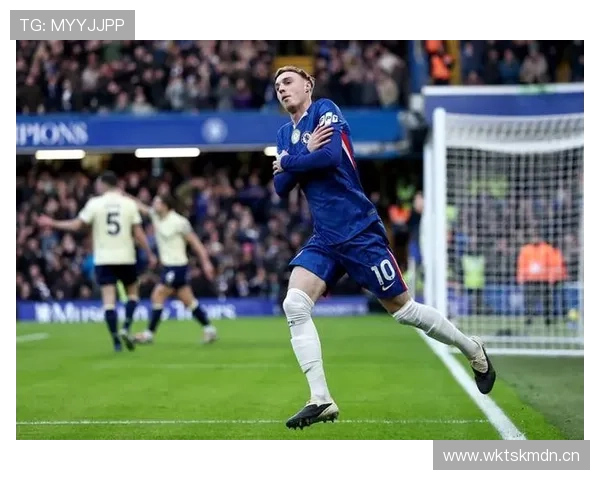 帕尔默的上限是否受限于战术角色与持续输出能力